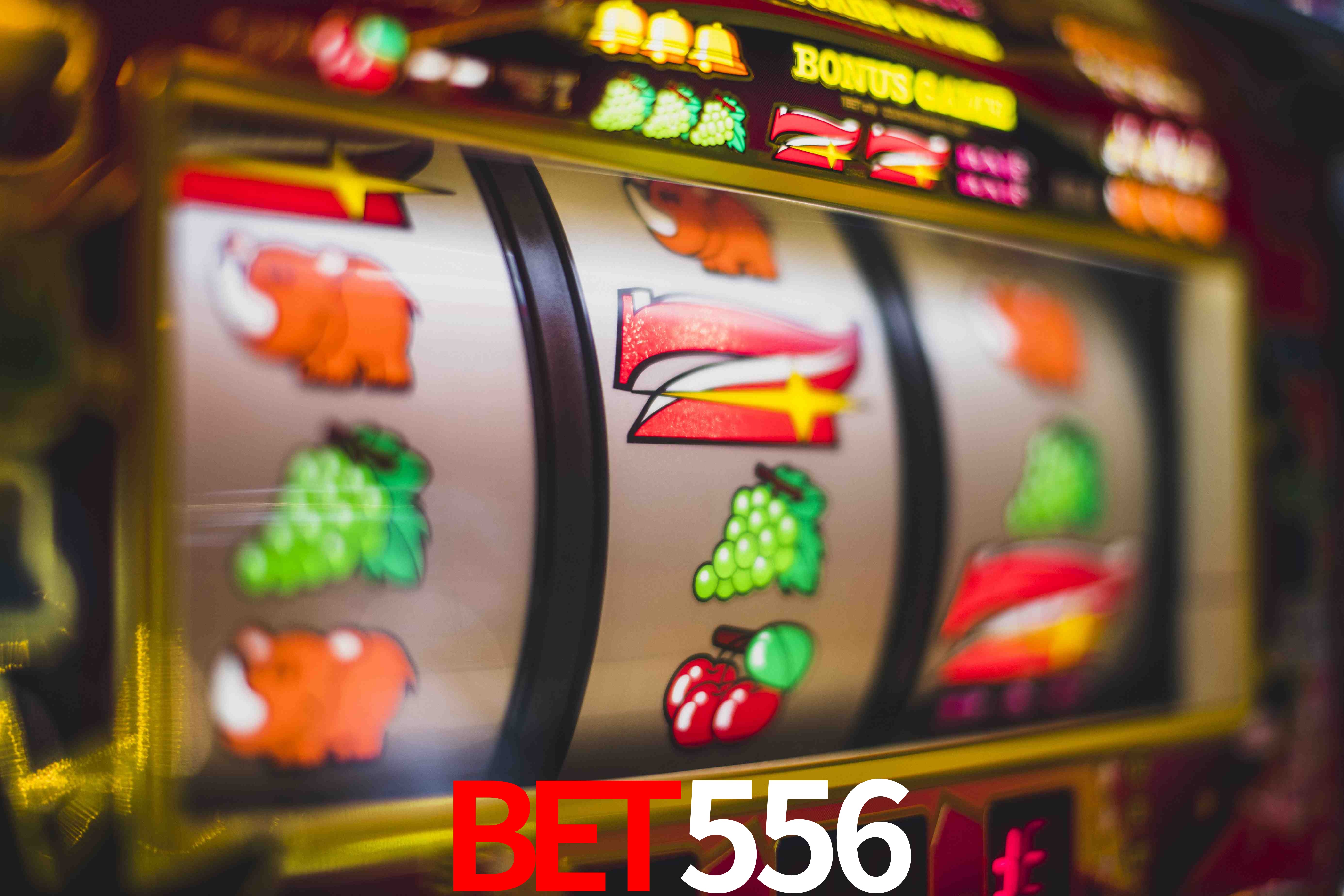 Statistics bet556